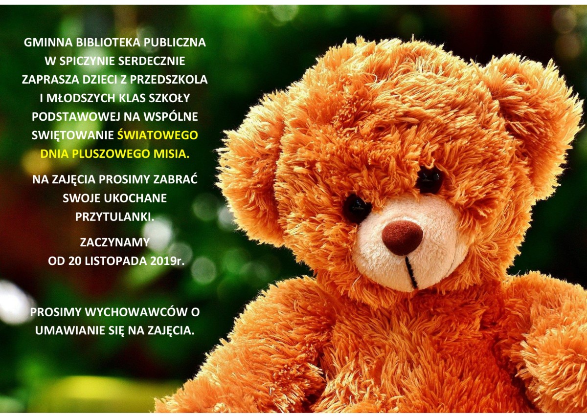 DZIEŃ PLUSZOWEGO MISIA — zdjęcie 1